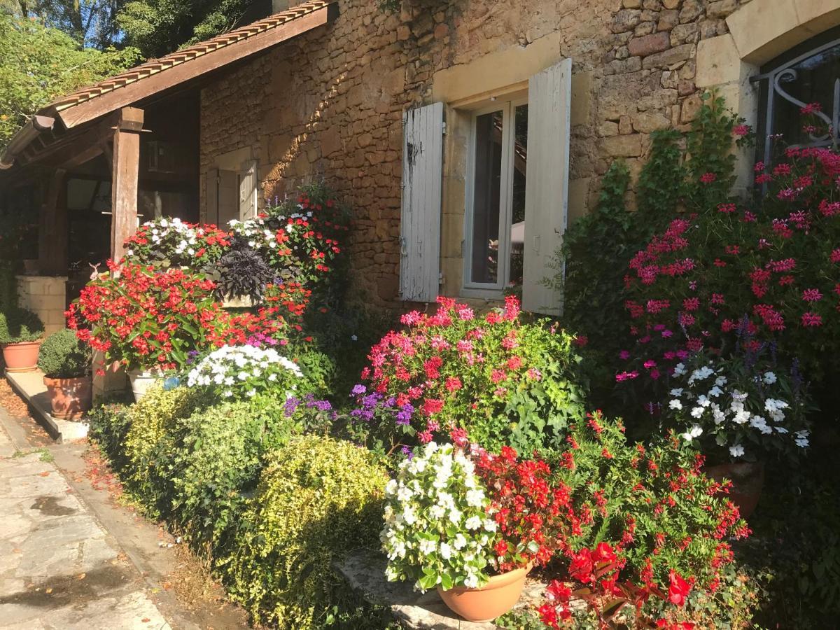 Bed & Breakfast Le Moulin Neuf Saint-Alvère Kültér fotó